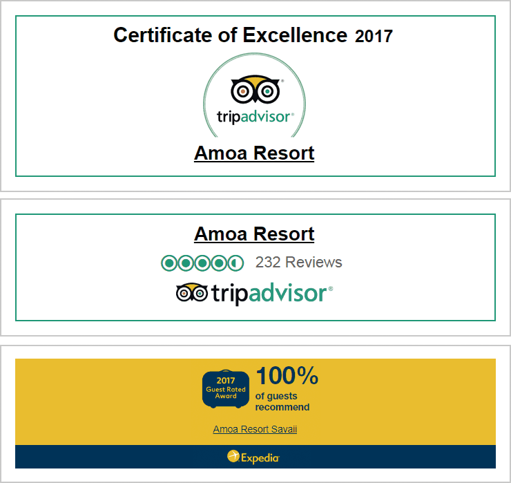 Social Media - Trip Advisor Clipart (740x699), Png Download