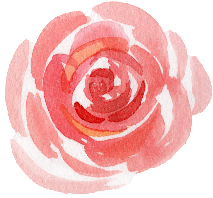 Pink Watercolor Hand Painted Flowers Transparent , - Garden Roses Clipart (727x673), Png Download