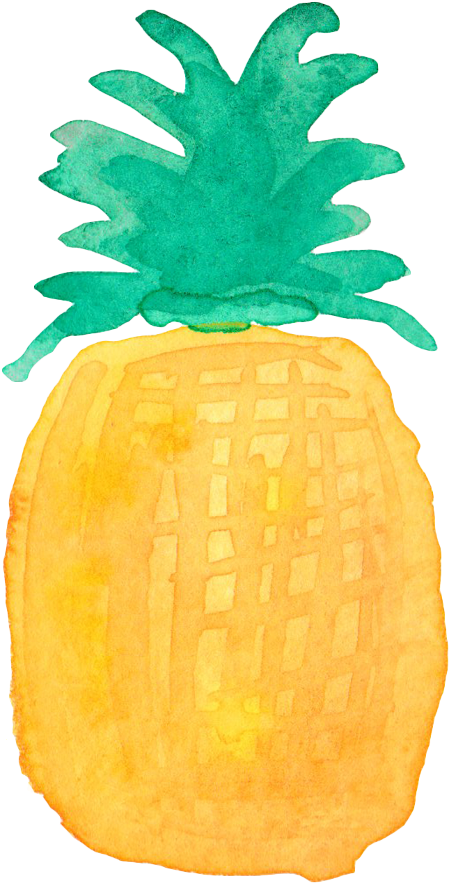 Pineapple Drawing Watercolor Painting Clipart (645x1269), Png Download