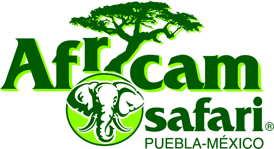 Africam Safari Puebla &187 Placer Y Negocios - African Safari Puebla Logo Clipart (1024x768), Png Download