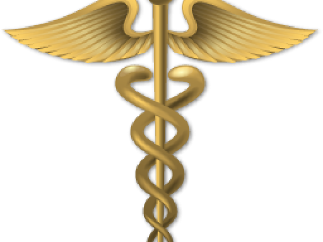 Doctor Symbol Caduceus Png Transparent Images - Primum Non Nocere Clipart (640x480), Png Download