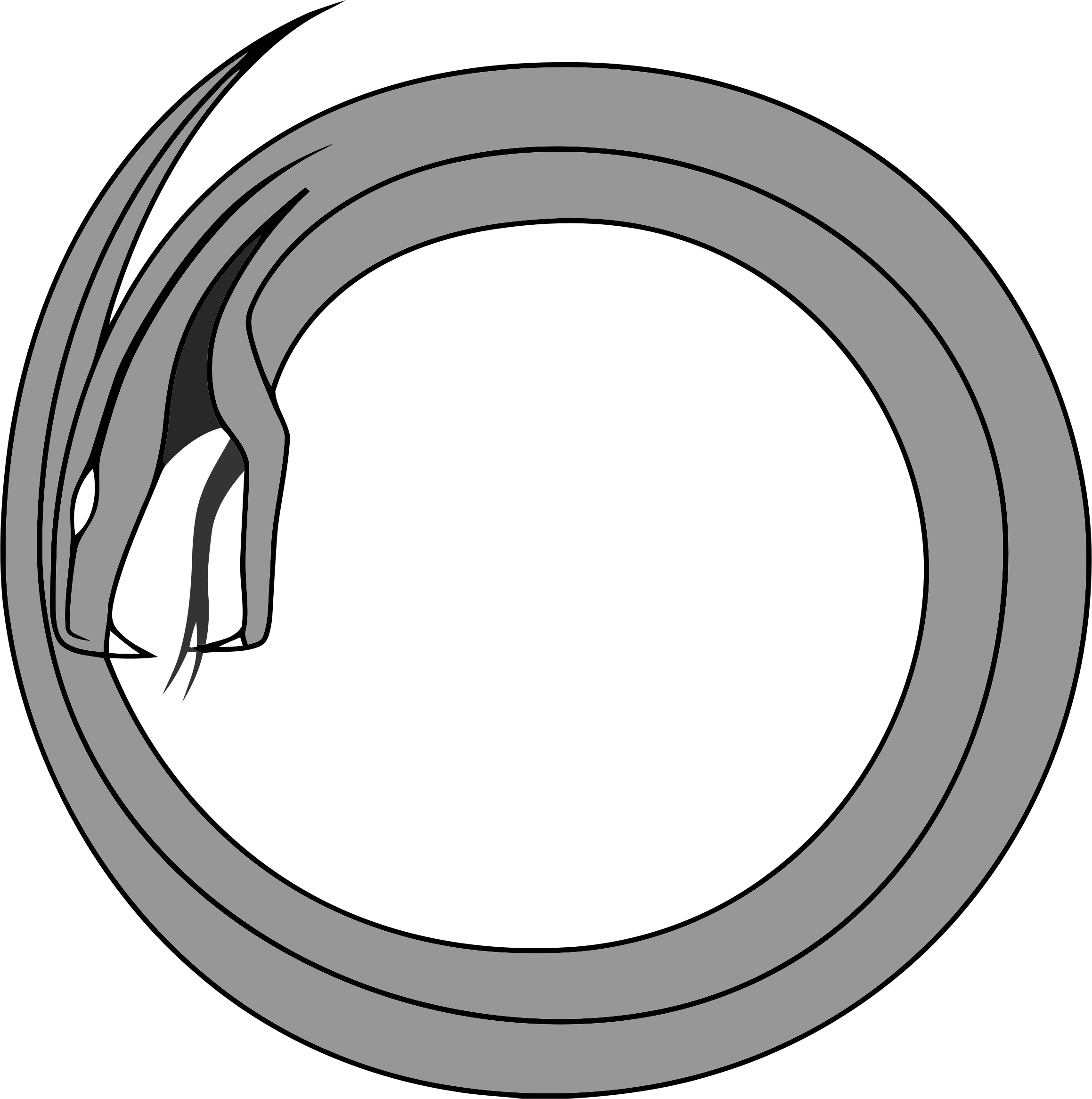 Viper Snake Head Png Wwwimgkidcom The Image Kid Has - Circle Clipart (2318x2332), Png Download