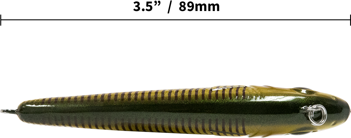 Salt Series - Millipedes Clipart (1200x900), Png Download