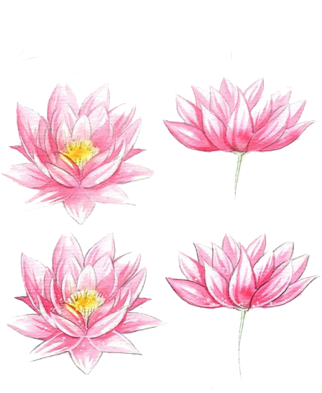 Clip Art Black And White Download Watercolour Flowers - Simple Water Lily Drawing - Png Download (722x594), Png Download