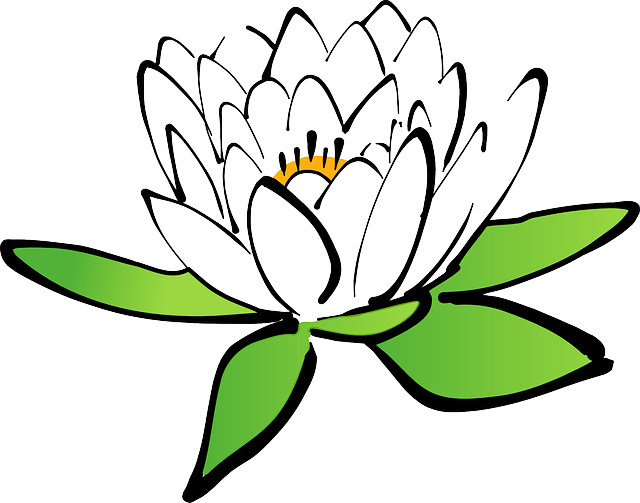 Flower Cartoon Transparent Background Clipart (640x503), Png Download
