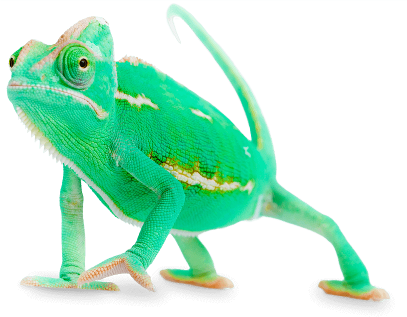 Chameleon Png - Survey Monkey Chameleon Clipart (813x640), Png Download