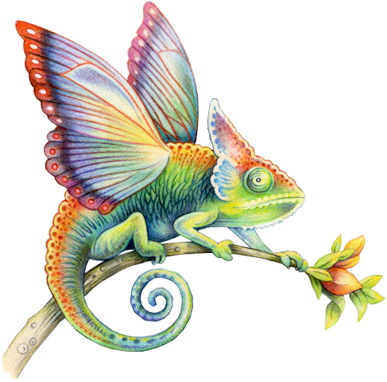 Chameleon - Drawing Clipart (600x600), Png Download