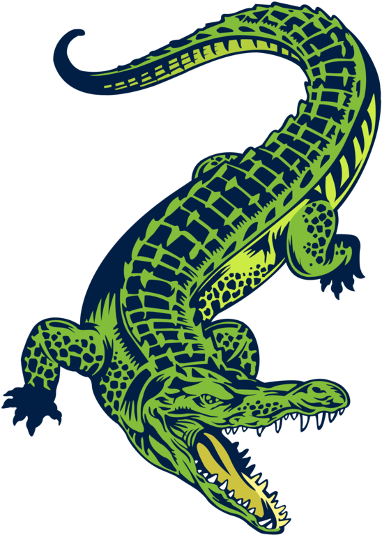 Relax Clipart Gator Tail - Boyo Vector - Png Download (894x894), Png Download