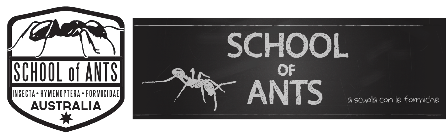 Soa International - Coolix Clipart (1876x592), Png Download