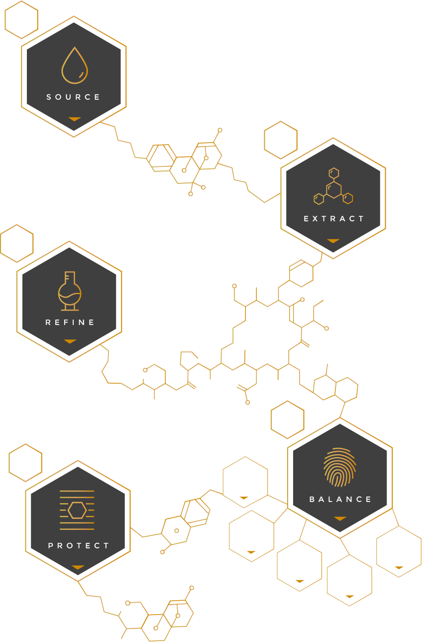 Goldmoon Home Infographic - Harmonic Table Clipart (852x1288), Png Download
