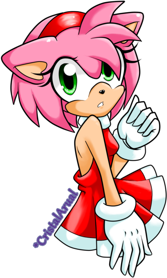 Blaze The Cat Amy Rose - Coloring Book Sonic Amy Rose Clipart (774x1032), Png Download