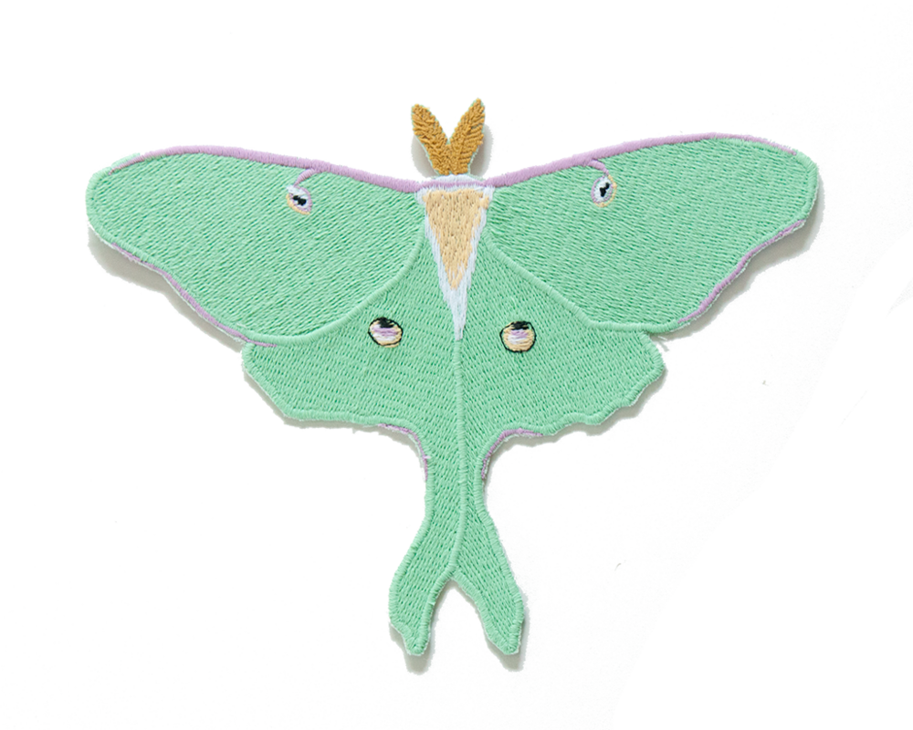 Swallowtail Butterfly Clipart (1000x800), Png Download