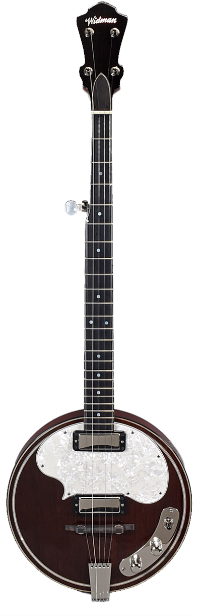 Electric Banjo - Acoustic Guitar Clipart (390x1250), Png Download