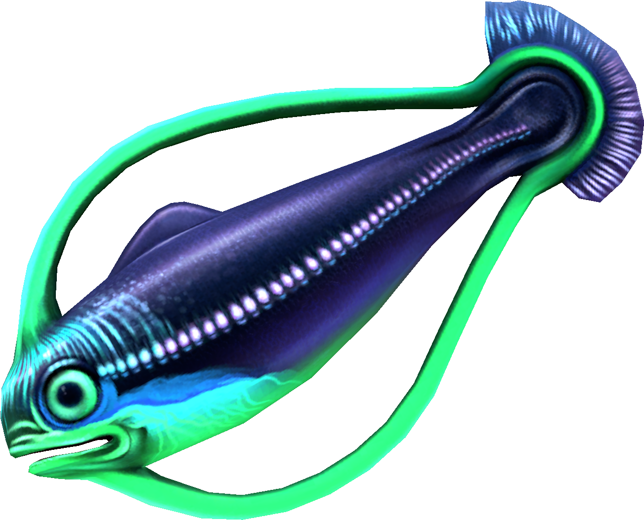 Hoopfish Clipart (1920x1080), Png Download