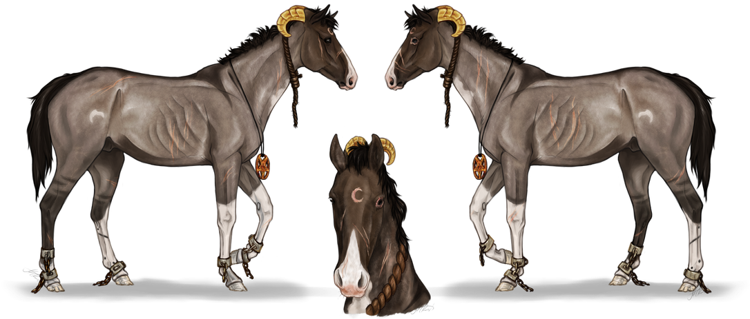 Jeffy Dam - Stallion Clipart (1100x505), Png Download