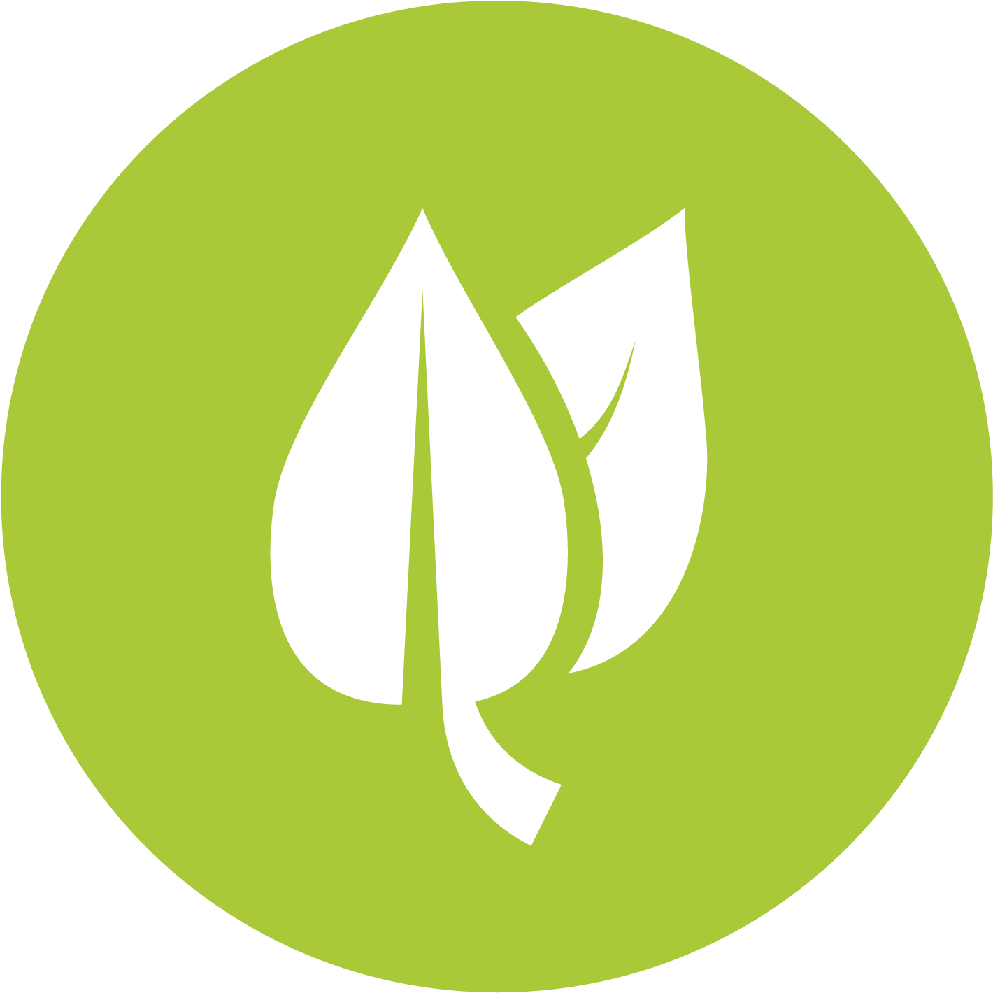 Realistic Frog - Leaf Flat Icon Png Clipart (1535x1535), Png Download