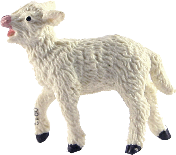 Lamb - Lamb Png Clipart (1000x1000), Png Download