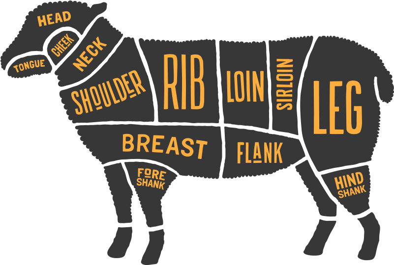 Lamb Products - Lamb Cut Diagram Clipart (800x619), Png Download