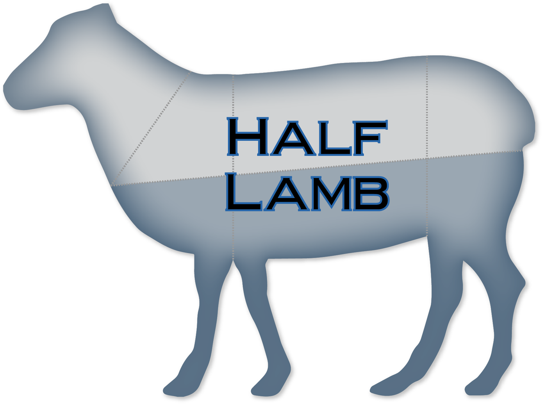 Half-lamb - Horse Clipart (1850x1383), Png Download