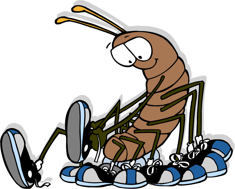Centipede - House Centipede With Shoes Clipart (750x605), Png Download