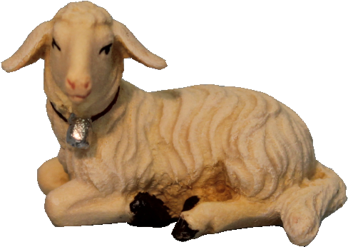 Sheep Clipart (800x800), Png Download