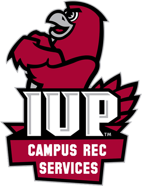 About Campus Rec - Iup Crimson Hawks Logo Clipart (500x653), Png Download