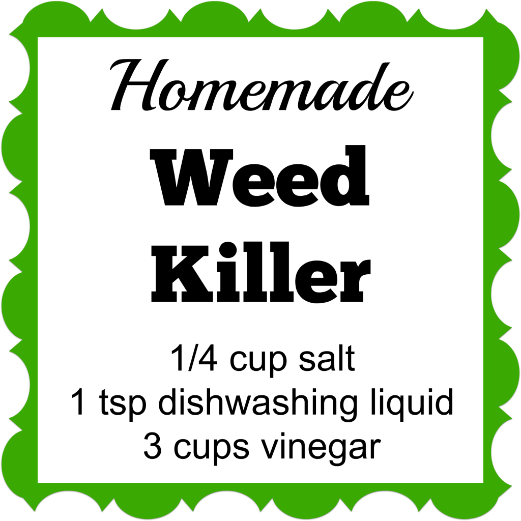 Homemade Weed Killer With Amounts - Herbicide Clipart (1024x1024), Png Download
