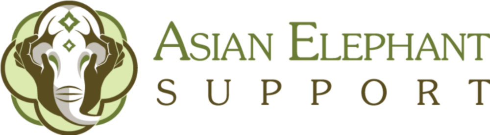 Asian Png Clipart (1000x277), Png Download