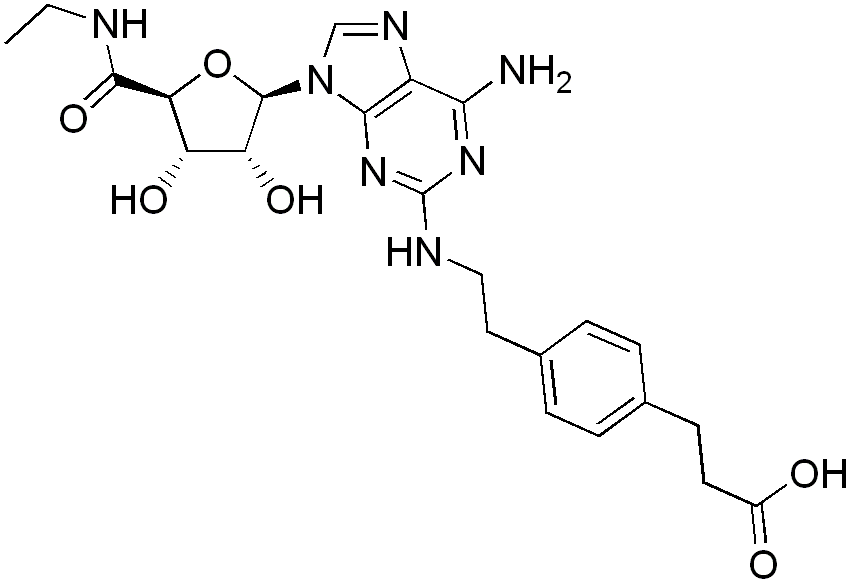 File - Cgs21680 - S Adenosyl Methionine Clipart (848x581), Png Download