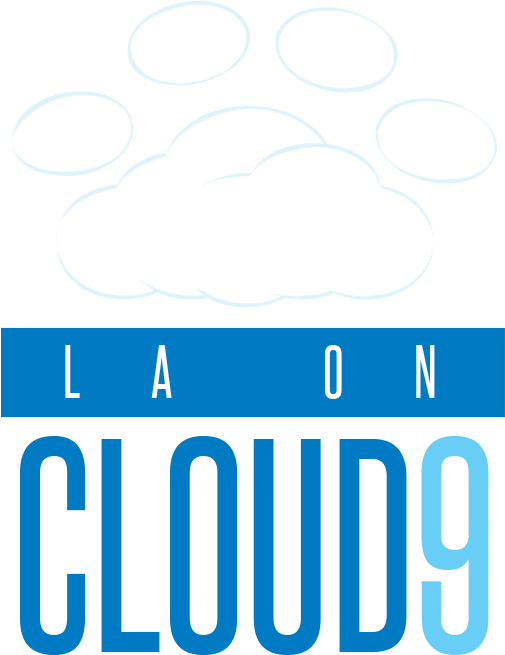 Cloud9 Logo New Clipart - Large Size Png Image - PikPng