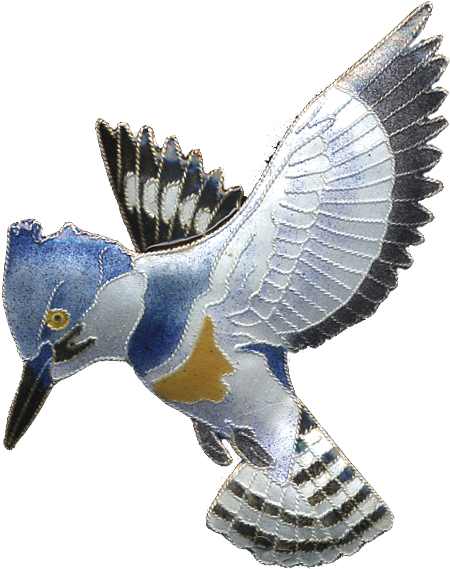 0099pin - Belted Kingfisher Clipart (900x900), Png Download