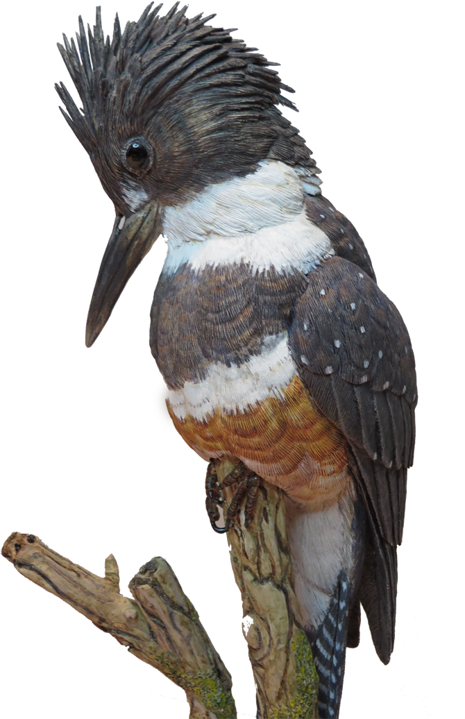 Pin By Marcy G On Beautiful Wood Carvings - Bird Carving For Sale Clipart (800x1067), Png Download