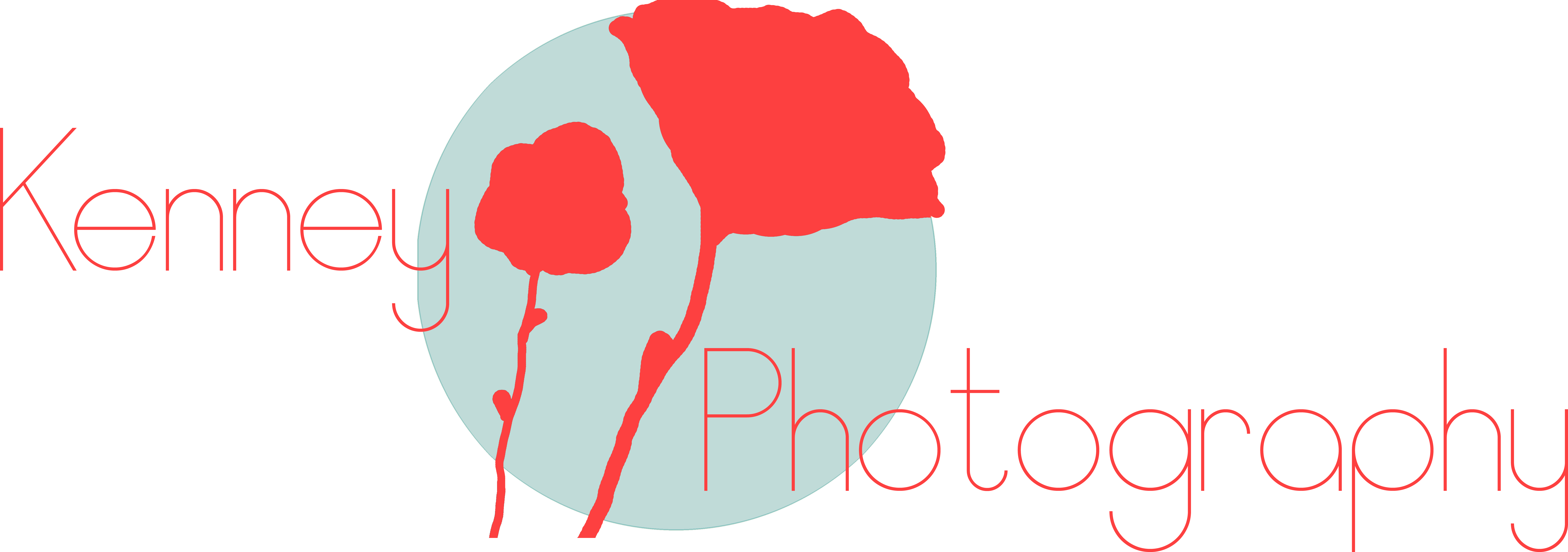 Kenney Photography Clipart (7694x2707), Png Download