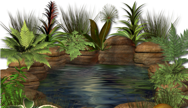 Enfeites Nature Png - Пруд Пнг Clipart (600x600), Png Download