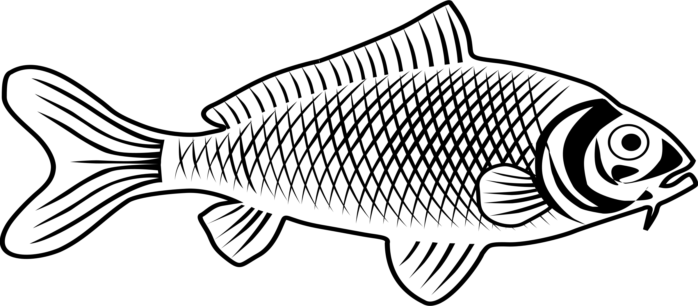 Big Image - Fish Line Art Clipart (2400x1053), Png Download