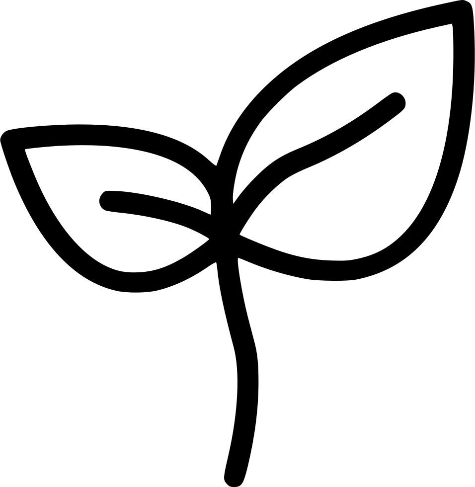 Png File Svg - Sprout Svg Clipart (956x980), Png Download