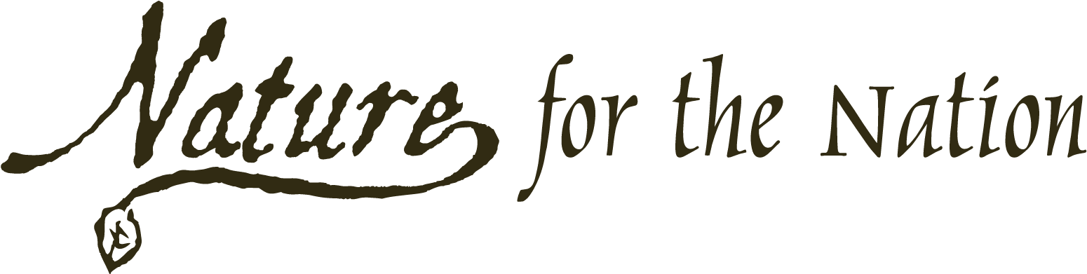 Calligraphy Clipart (1650x450), Png Download