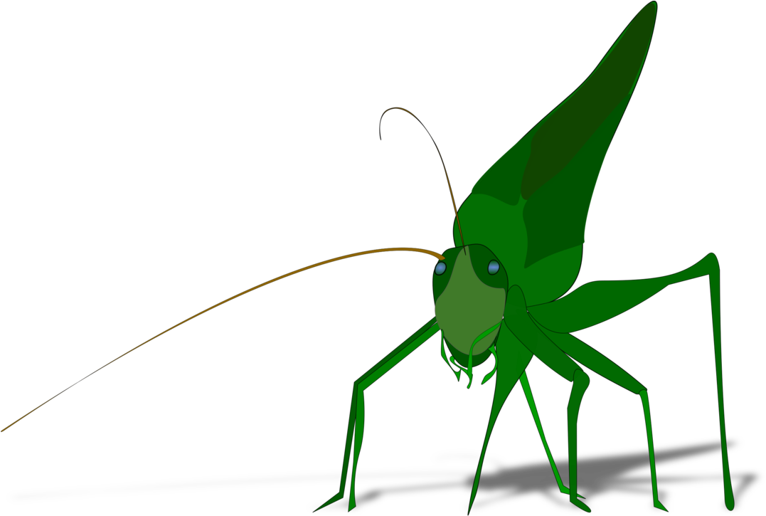 The Ant And The Grasshopper Drawing Cricket Download - Grasshopper Clipart - Png Download (1077x725), Png Download