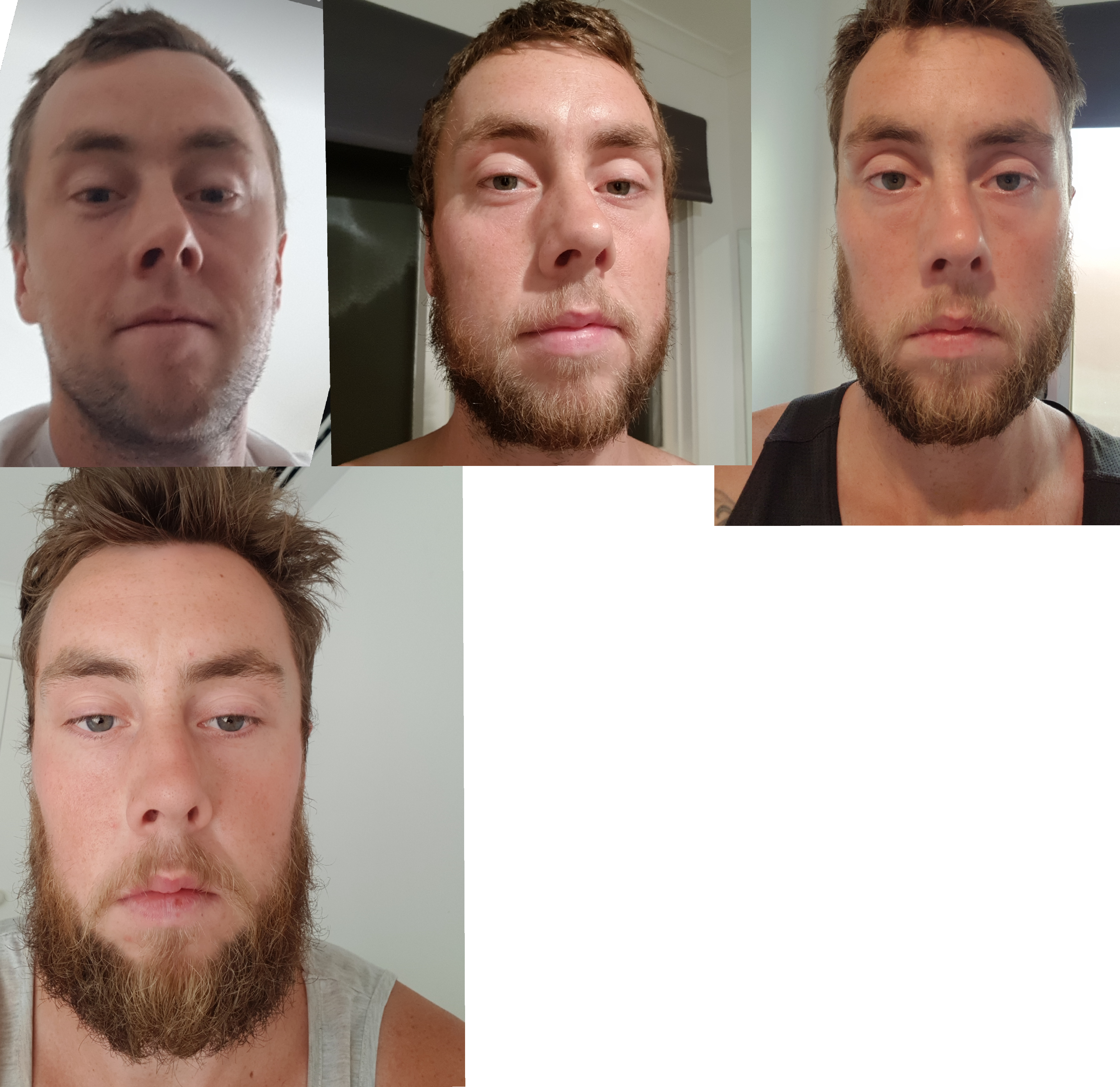 Beard-on Brothers - Collage Clipart (3716x3609), Png Download