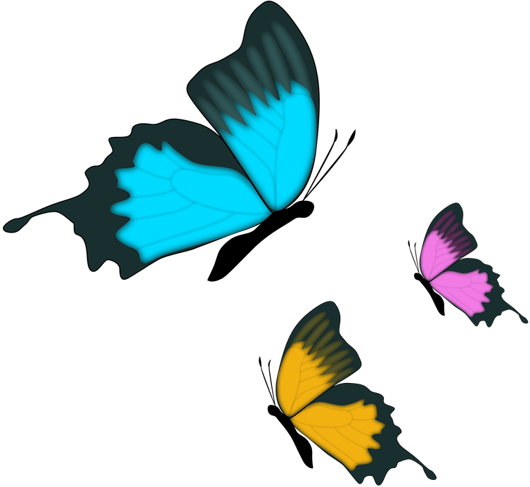 Butterfly Insect Nature - Clip Art Farfalle Png Transparent Png (960x692), Png Download