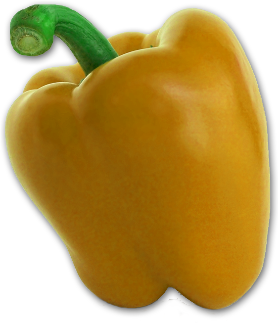 Shadow-capsicum - Yellow Pepper Clipart (619x682), Png Download