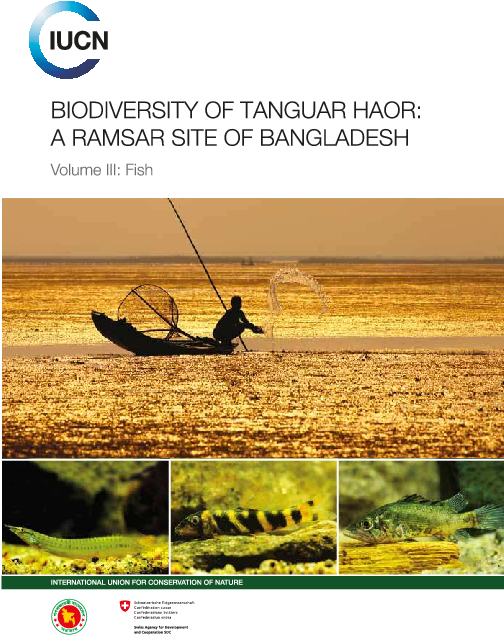 Pdf - Sea Kayak Clipart (1224x828), Png Download