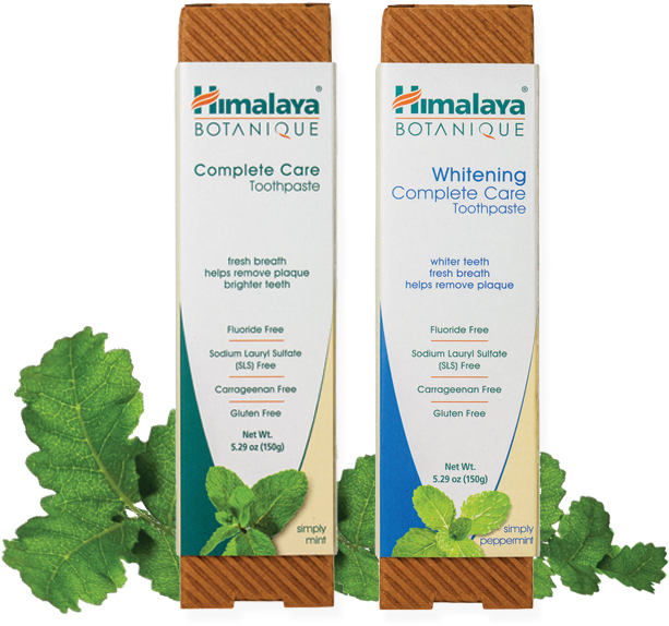 Vitis Clipart (900x600), Png Download