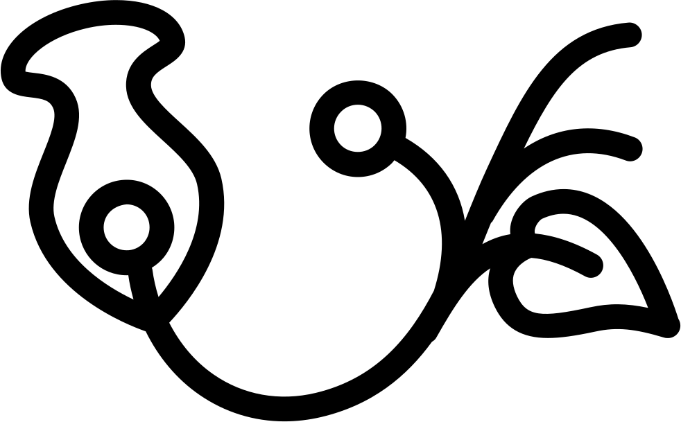 Png File Svg - Vector Flower Icon Png Clipart (982x609), Png Download