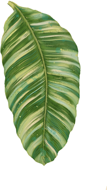 Click And Drag To Re-position The Image, If Desired - Rainforest Resort - Tropical Banana Leaf Clipart (470x700), Png Download