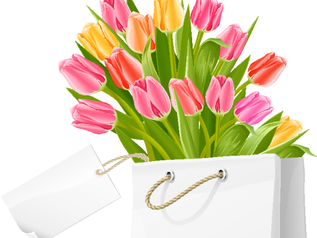 Tulip Clipart Flower Bookey - Tulip Flowers - Png Download (640x480), Png Download