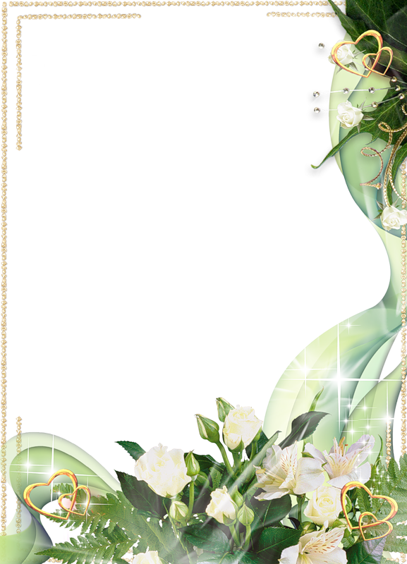 Beautiful Transparent Photo Frame With White Flowers - White Flower Frame Png Clipart (577x800), Png Download