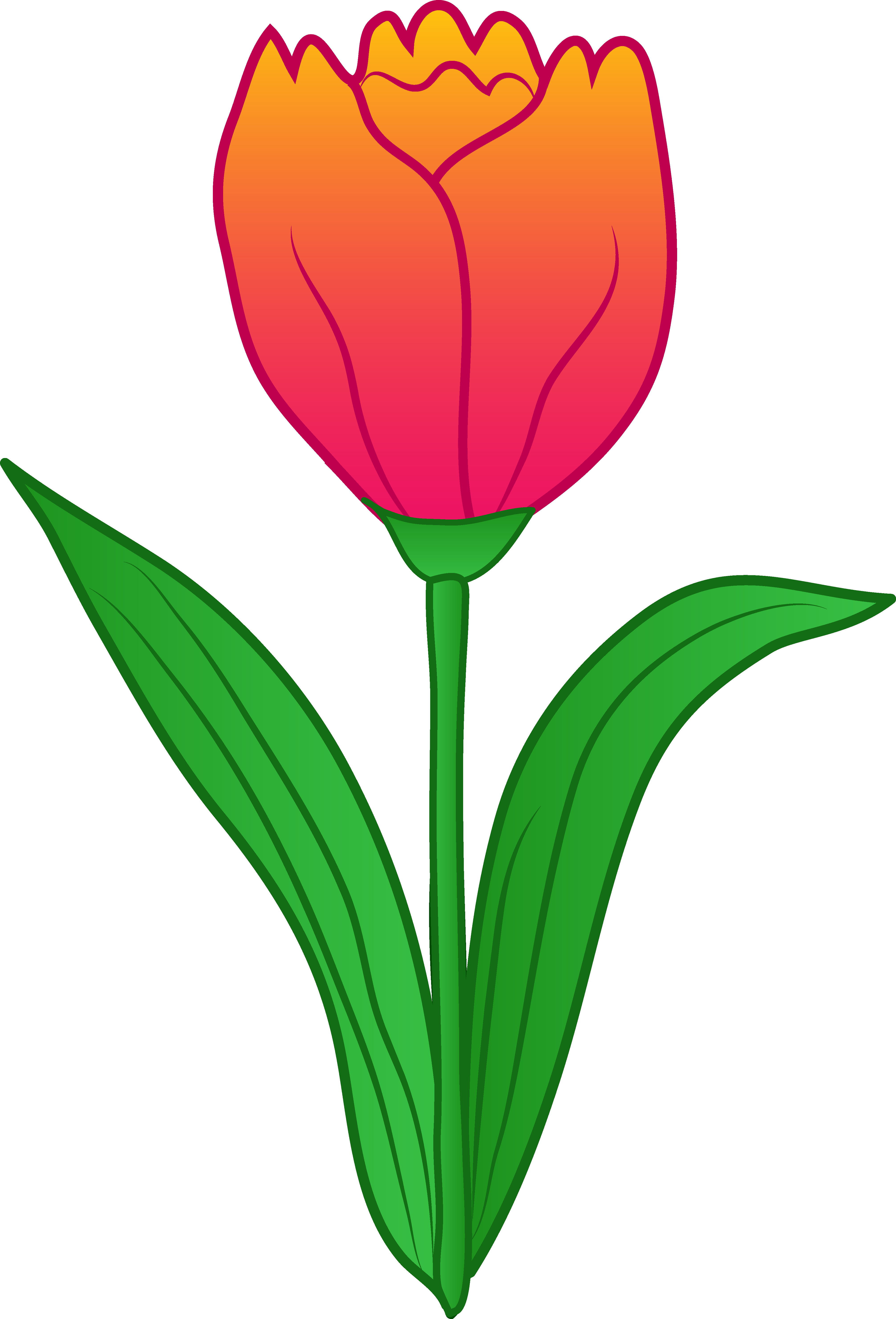 Tulip Clipart Spring - Tulips Clipart - Png Download (4024x5921), Png Download