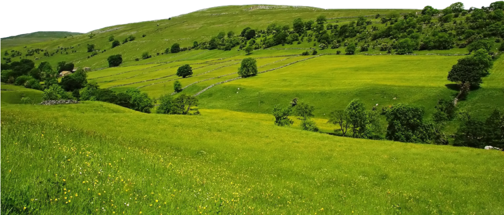 Green Wallpaper, Wallpaper Pc, Scenery Wallpaper, Friends - Vector Thomas And Friends Clipart (1024x640), Png Download