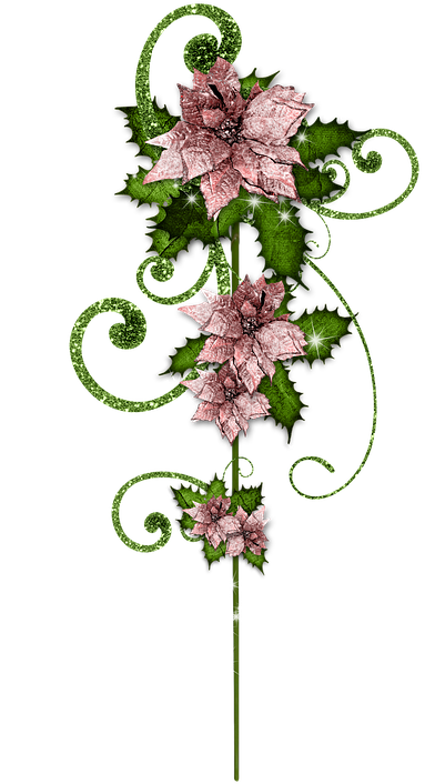 Christmas, Pousette, Christmas Star, Jewelry, Scenery - Artificial Flower Clipart (445x720), Png Download